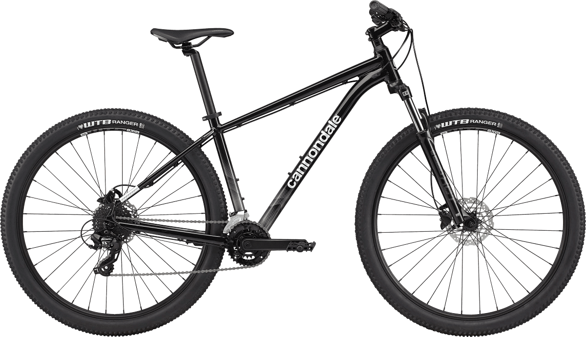 2021 Trail 7